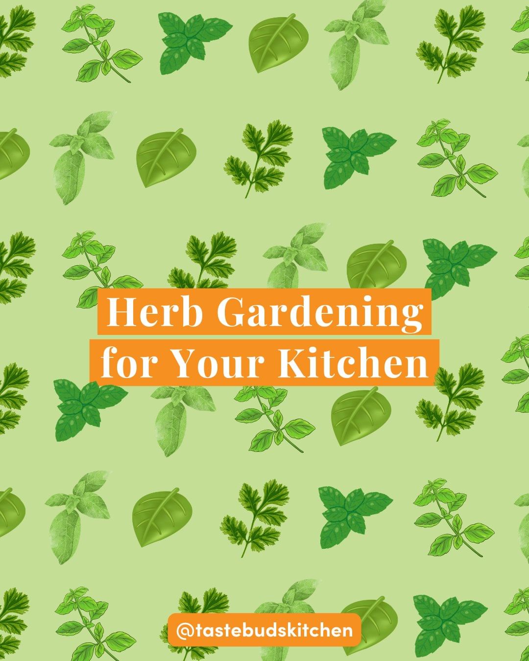 Herb Gardening for your Kitchen